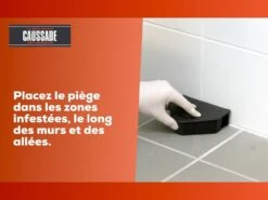 Carpt400 Raticide Canadien Forte Infestation Appât Prêt à L'emploi Nou -Einhell Boutique 01926f353c8d8b6d