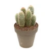 Cactus Columnari H25cm Pot D16cm 1 Cactus Columnari H25cm Pot D16cm -Einhell Boutique 1024300 1470400