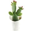 Opuntia Inamoena (ou Tacinga Inamoena) - Pot D14cm -Einhell Boutique 1024867 1471930