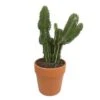 Cactus : H40cm Pot Terre Cuite D20 Cm -Einhell Boutique 1043860 001