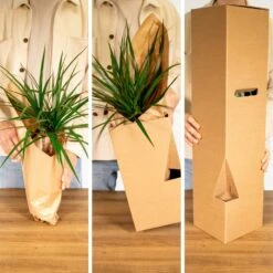 Tillandsia Et Son Support En Cube - H35cm, ø20cm - Plante D'intérieur Tombante -Einhell Boutique 1d4ca7b43168e807