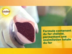 Solabiol Soseq01 | Sequestrene Antichlorose 100g | Action Longue Durée | Fabriq -Einhell Boutique 34a89de4028d27b8