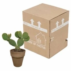 Opuntia Microdasys Et Son Cache-pot Marron - H40cm, ø17cm - Plante D'intérieur -Einhell Boutique 48d55715481eec9b