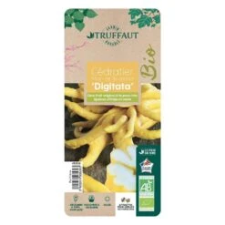 Main De Bouddah:AB Conteneur 3 Litres -Einhell Boutique 493536 006 1