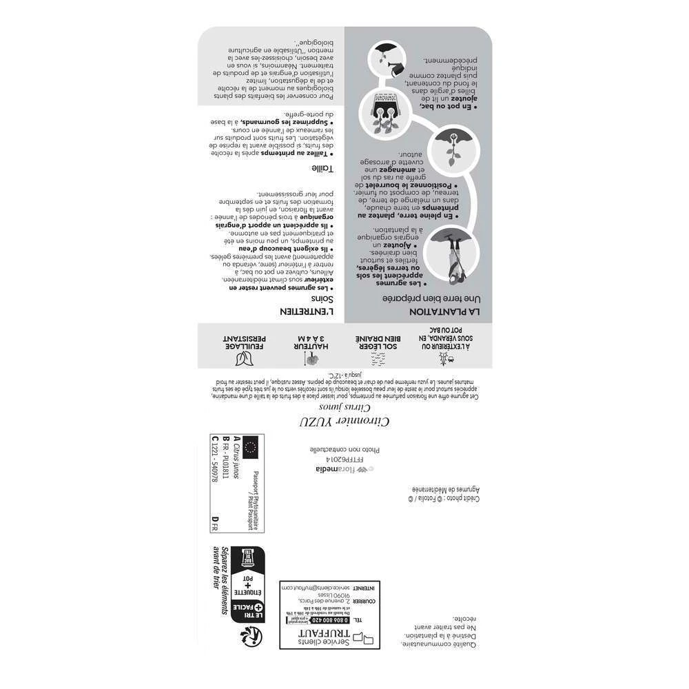 Yuzu AB:pot 3L 4 Yuzu AB:pot 3L – Image 2