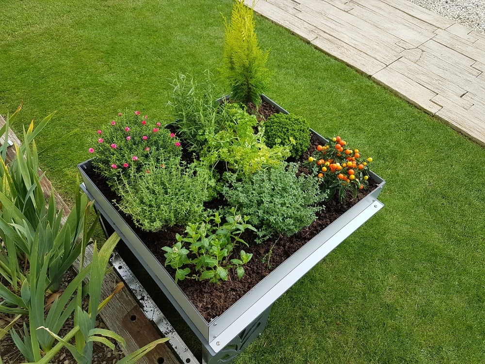 Abri ROBOT PROTECT Life 6 Abri ROBOT PROTECT Life – Image 4