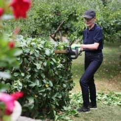 Pack Taille-haies Sur Batterie 18v Lamier 51cm Texas Hedge 200 Chargeur Inclus -Einhell Boutique 63503efdbf5e34.79098694