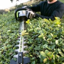 Taille-haie Sur Batterie Ego Power Lithium Ion 56v Ht6500e Lame 65cm -Einhell Boutique 6357d750a7a441.84274220