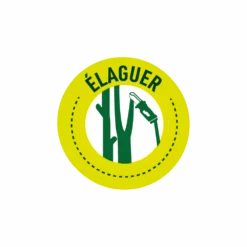 Pack Tronçonneuse Sans Fil + Batterie De Rechange-vert -Einhell Boutique 6363b0dbb5b924.38775051