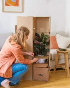 Plante D'intérieur - Zamioculcas Zamiifolia L 65cm -Einhell Boutique 6377ddad5e3bc9.45712714