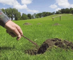 Piège à Taupes &campagnols Mole Trap - 4,5 X 15 Cm - Lot De 2