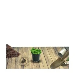 Einhell Boutique 20 Einhell Boutique -Einhell Boutique 63f4efc27fade6.00053073