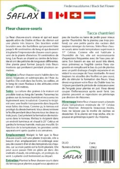 Kit De Culture - Fleur Chauve-souris - 10 Graines - Tacca Chantrieri -Einhell Boutique 64063aa2e09686.92559263