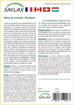 Kit De Culture - Arbre Au Caramel - 200 Graines - Cercidiphyllum Japonicum -Einhell Boutique 64064132c9d4c4.04855019