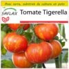 Kit De Culture - Tomate Tigerella - 10 Graines - Lycopersicon Esculentum 1 Kit De Culture - Tomate Tigerella - 10 Graines - Lycopersicon Esculentum -Einhell Boutique 64064139be26e2.18105117