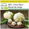 Kit De Culture - Bio - Chou-fleur - Boule De Neige - 70 Graines - Brassica Oleracea Var. Botrytis 2 Kit De Culture - Bio - Chou-fleur - Boule De Neige - 70 Graines - Brassica Oleracea Var. Botrytis -Einhell Boutique 6406413d32e005.54382019