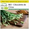 Kit De Culture - Bio - Ciboulette De Chine - 100 Graines - Allium Tuberosum -Einhell Boutique 6406414b0c1685.25541867