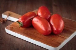 Kit De Culture - Bio - Tomate - San Marzano - 15 Graines - Solanum Lycopersicum 15 Kit De Culture - Bio - Tomate - San Marzano - 15 Graines - Solanum Lycopersicum -Einhell Boutique 6406416b4f7255.16851216