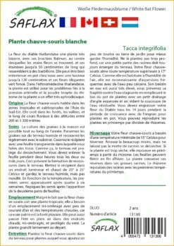 Kit De Culture - Plante Chauve-souris Blanche - 10 Graines - Tacca Integrifolia 8 Kit De Culture - Plante Chauve-souris Blanche - 10 Graines - Tacca Integrifolia -Einhell Boutique 6406417d60c3a0.37345696