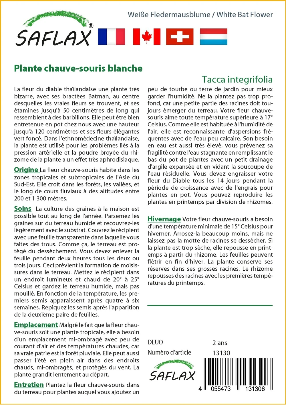 Kit De Culture - Plante Chauve-souris Blanche - 10 Graines - Tacca Integrifolia 5 Kit De Culture - Plante Chauve-souris Blanche - 10 Graines - Tacca Integrifolia – Image 3