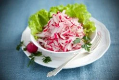 Kit De Culture - Bio - Radis - Cherry Bell - 100 Graines - Raphanus Sativus -Einhell Boutique 640641a656fec4.35520788