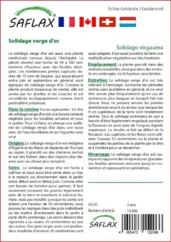 Kit De Culture - Solidage Verge D'or - 100 Graines - Solidago Virgaurea -Einhell Boutique 640641b4d55022.73382482
