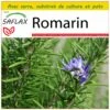 Kit De Culture - Romarin - 100 Graines - Rosmarinus Officinalis -Einhell Boutique 640641bc616d86.74543982