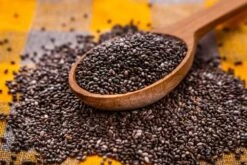 Kit De Culture - Bio - Sauge - 60 Graines - Salvia Officinalis 15 Kit De Culture - Bio - Sauge - 60 Graines - Salvia Officinalis -Einhell Boutique 640641bf510530.24887861