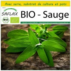 Kit De Culture - Bio - Sauge - 60 Graines - Salvia Officinalis