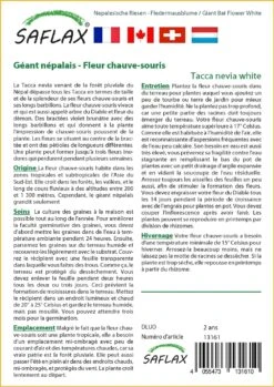 Kit De Culture - Géant Népalais - Fleur Chauve-souris - 10 Graines - Tacca Nevia White 8 Kit De Culture - Géant Népalais - Fleur Chauve-souris - 10 Graines - Tacca Nevia White -Einhell Boutique 640641cb3c2931.45314096