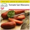Kit De Culture - Tomate San Marzano - 10 Graines - Lycopersicon Esculentum -Einhell Boutique 640641fa2f2881.82060146