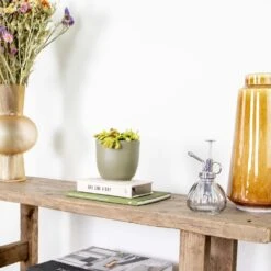 Dionaea Muscipula – Plante Carnivore – Peu D'entretien – ⌀12 Cm – ↕10-15 Cm -Einhell Boutique 640b20a5e78e48.00125916