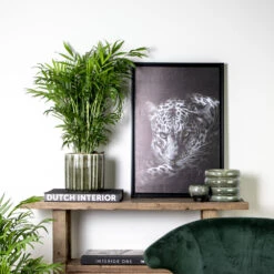 Chamaedorea Elegans - Palmier Nain Mexicain - Purificateur D'air – ⌀17 Cm - ↕50-60 Cm -Einhell Boutique 640b21045e72a5.33117055