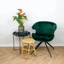 Anthurium 'aristo' Orange - Plante Flamingo - Entretien Facile - ⌀14 Cm - ↕45-55 Cm 10 Anthurium 'aristo' Orange - Plante Flamingo - Entretien Facile - ⌀14 Cm - ↕45-55 Cm -Einhell Boutique 640b783c3548d8.40389046