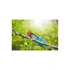 Gardena Elagueuse Sur Perche Tcs 20/18v P4a Avec Batterie -Einhell Boutique 641da6793705b1.97358156