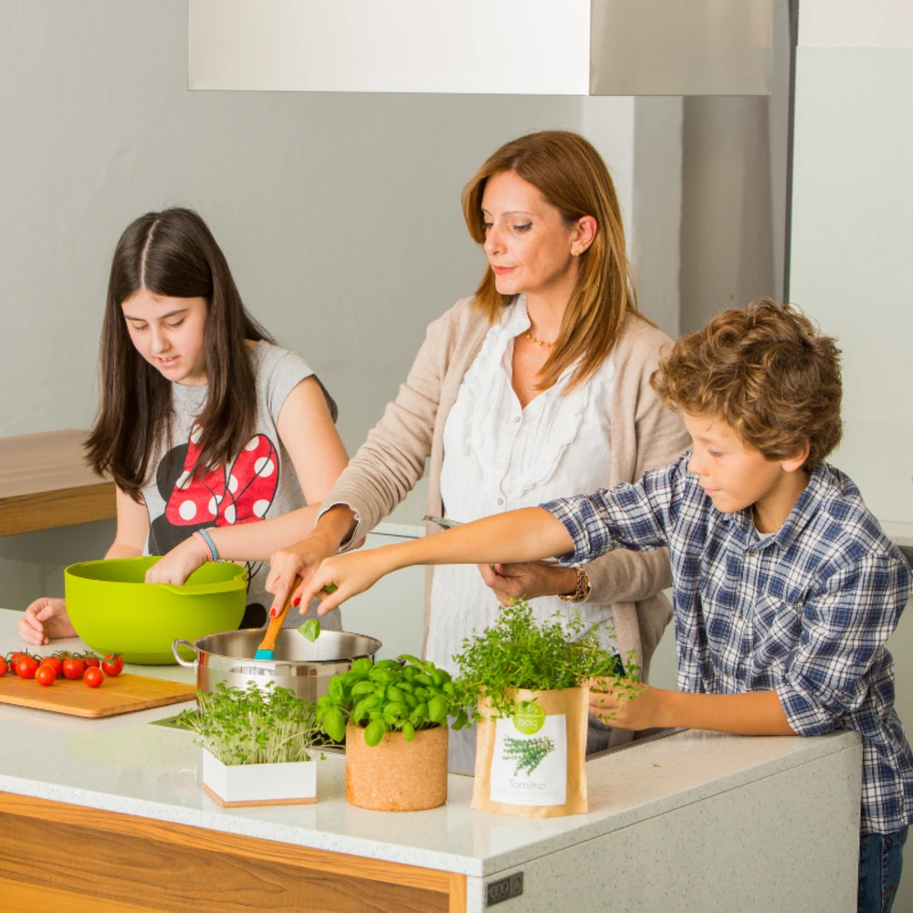 Kit Bio Prêt à Pousser Fraise 4 Kit Bio Prêt à Pousser Fraise – Image 2