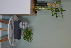 Set Bonsaï Et Cascade-pierres - Support L.30cm- H.25-30cm -Einhell Boutique 6422e176c936d7.62659362