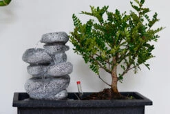 Set Bonsaï Et Cascade-pierres - Support L.30cm- H.25-30cm -Einhell Boutique 6422e176e22588.29286272