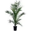 Phoenix Canariensis - Palmier Dattier - Pot 19cm - Hauteur 80-100cm -Einhell Boutique 6426d611ccb7b4.95453889