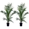 Phoenix Canariensis - Set De 2 - Palmier Dattier - Pot 19cm - Hauteur 80-100cm -Einhell Boutique 6426d613cc3256.78018557
