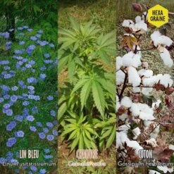 Coffret De Semences Textile Tissus Etoffe Et Fil -Einhell Boutique 642d66ace6f211.93606402