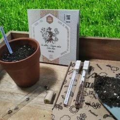 Coffret De Semences Textile Tissus Etoffe Et Fil -Einhell Boutique 642d66acef9529.41293408