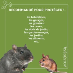 Répulsif Rats, Souris & Mulots - 500 Ml 9 Répulsif Rats, Souris & Mulots - 500 Ml -Einhell Boutique 6440382b6488e6.81824932