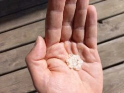 Nématodes Mouches Des Terreaux En Micro-capsules Par 200 -Einhell Boutique 644181f5c5e9a8.52300689