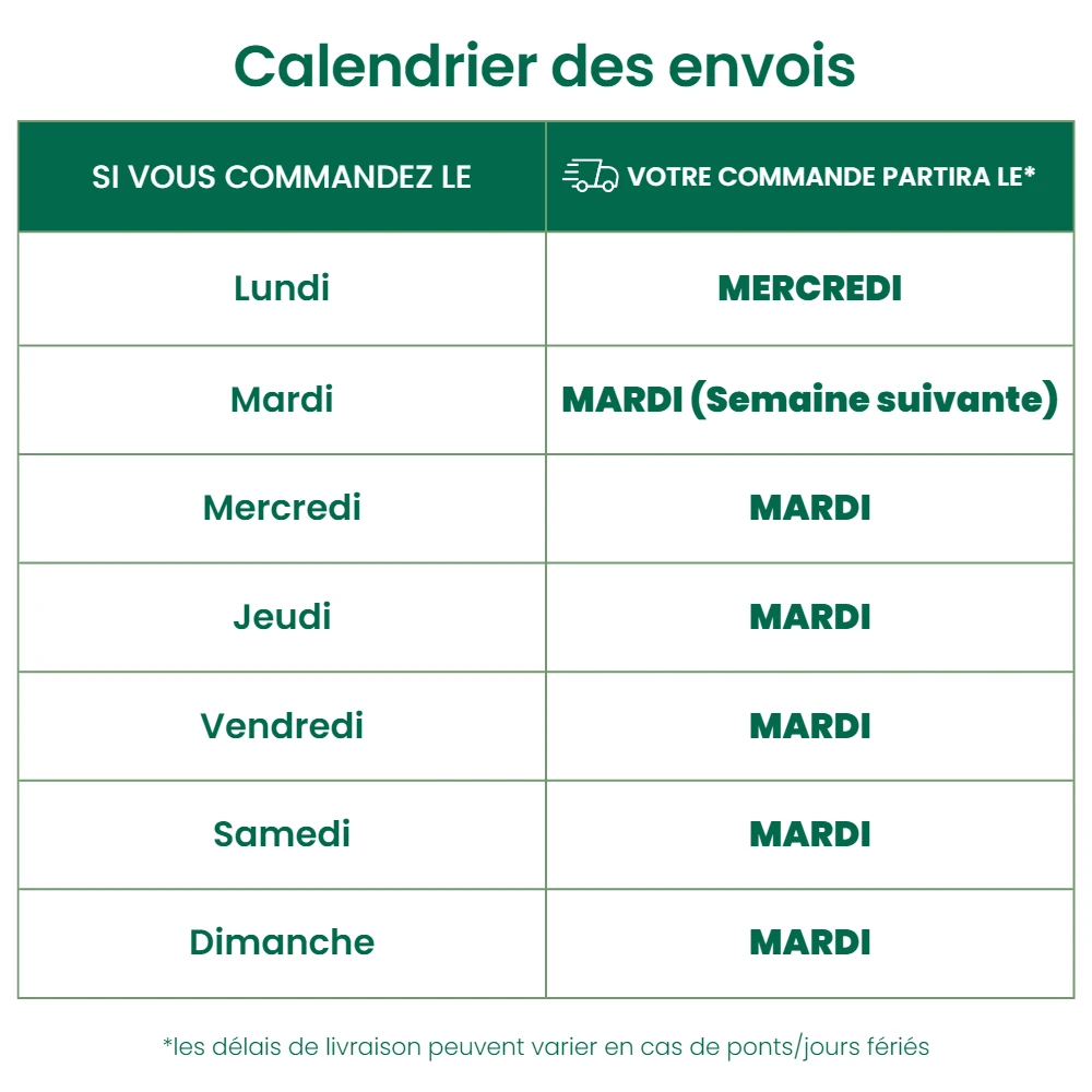 250 Larves Coccinelles Anti-puceron - Coccilaure 4 250 Larves Coccinelles Anti-puceron - Coccilaure – Image 2