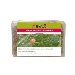 500 Acariens Phytoseiulus