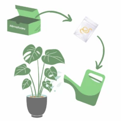 Nématodes Spécifiques Contre Les Otiorhynques 5 Millions -Einhell Boutique 644c0daa0ef981.11544754