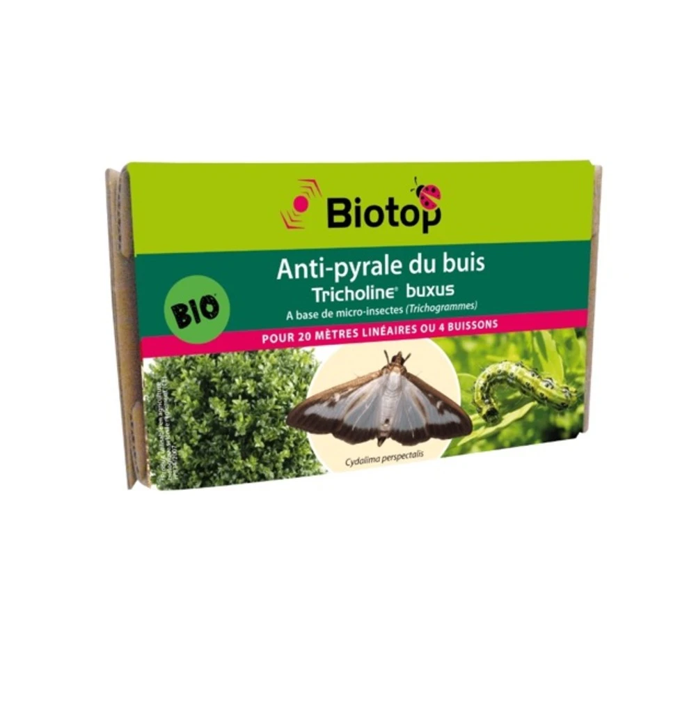 Trichogrammes Anti Pyrale De Buis Tricholine Buxus 3 Trichogrammes Anti Pyrale De Buis Tricholine Buxus