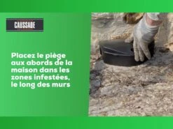 Carpt720 Lot De 4 Boîtes Raticide Canadien Pat'appât Fortes Infestatio -Einhell Boutique 6eb79456855960f1