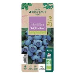 Myrtillier 'Brigitta Blue' Bio : Pot De 1,5 Litres -Einhell Boutique 791603 003
